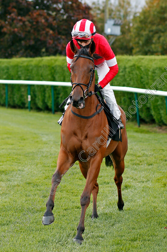 Al-Raya-0001 
 AL RAYA (William Buick)
Nottingham 14 Oct 2020 - Pic Steven Cargill / Racingfotos.com