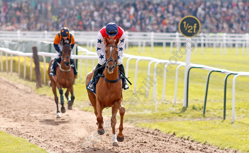 Proschema-0001 
 PROSCHEMA (Harry Skelton)
Aintree 15 Apr 2023 - Pic Steven Cargill / Racingfotos.com