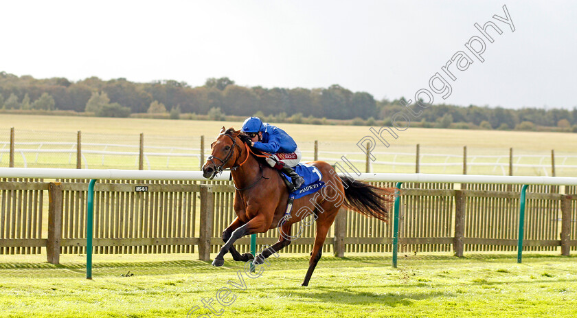 Benbatl-0003 
 BENBATL (Oisin Murphy) wins The Shadwell Joel Stakes
Newmarket 27 Sep 2019 - Pic Steven Cargill / Racingfotos.com