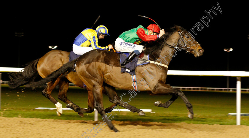 Blame-Culture-0004 
 BLAME CULTURE (David Probert) wins The Sun Racing Top Tips & Previews Novice Stakes
Wolverhampton 7 Jan 2019 - Pic Steven Cargill / Racingfotos.com