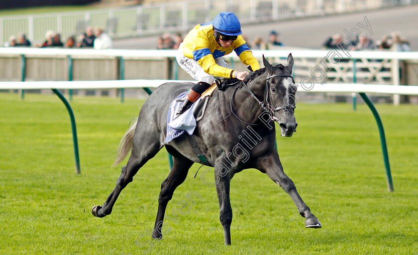 Seaplane-0003 
 SEAPLANE (Rossa Ryan) wins The Al Bastiworld Dubai British EBF Maiden Stakes
Newmarket 27 Sep 2024 - Pic Steven Cargill / Racingfotos.com