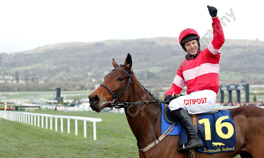 Eglantine-Du-Seuil-0005 
 EGLANTINE DU SEUIL (Noel Fehily) after The National Hunt Breeders Supported By Tattersalls Mares Novices Hurdle
Cheltenham 14 Mar 2019 - Pic Steven Cargill / Racingfotos.com