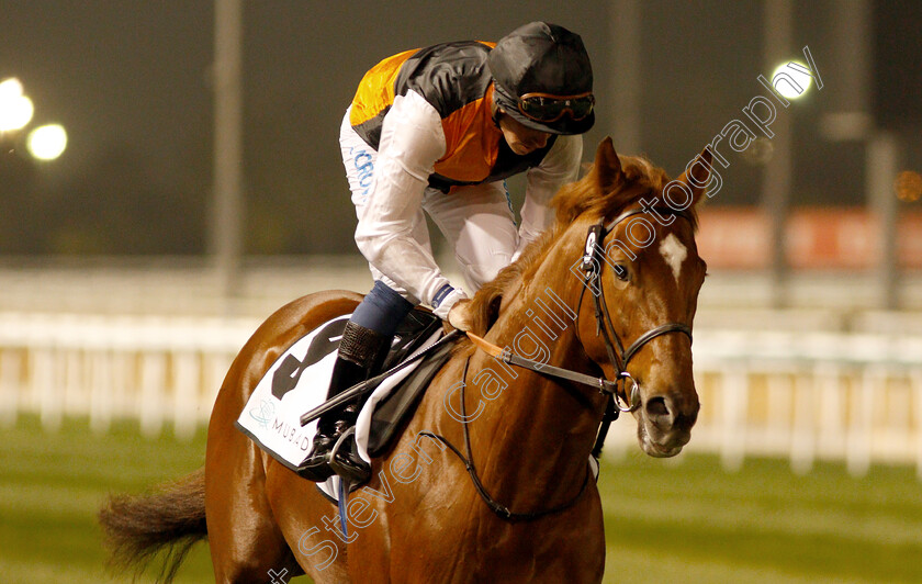 Woven-0001 
 WOVEN (Jim Crowley)
Meydan 10 Jan 2019 - Pic Steven Cargill / Racingfotos.com