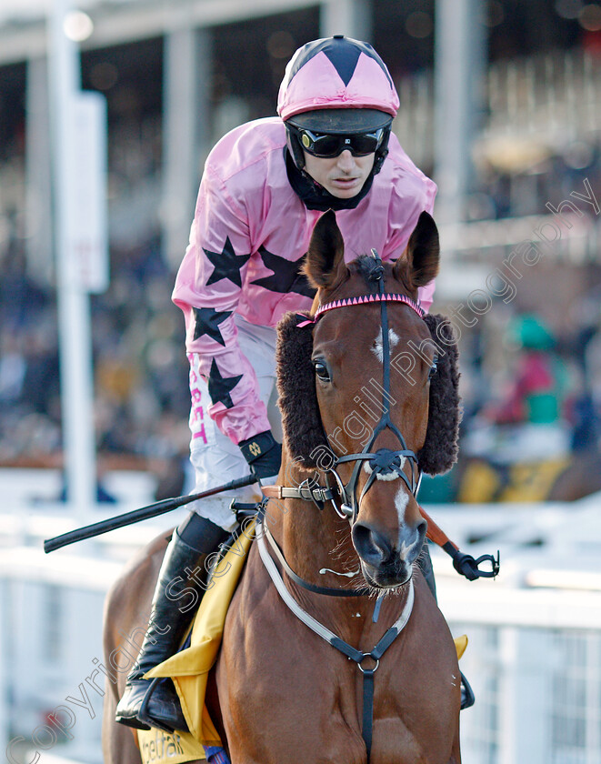 Hurricane-Harvey-0001 
 HURRICANE HARVEY (Paddy Brennan)
Cheltenham 10 Dec 2021 - Pic Steven Cargill / Racingfotos.com