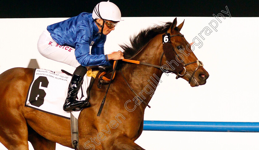 Gold-Town-0012 
 GOLD TOWN (William Buick) wins The UAE 2000 Guineas Trial Div1 Meydan 25 Jan 2018 - Pic Steven Cargill / Racingfotos.com