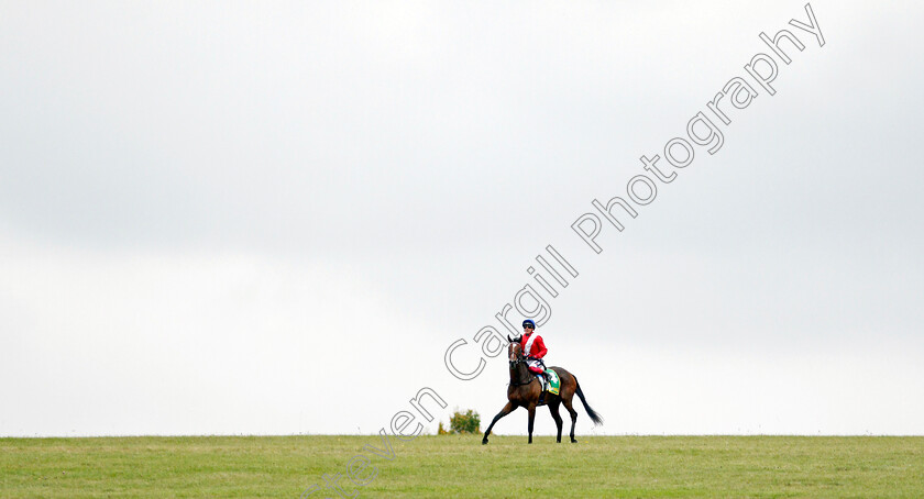 Inspiral-0009 
 INSPIRAL (Frankie Dettori) after The bet365 Fillies Mile
Newmarket 8 Oct 2021 - Pic Steven Cargill / Racingfotos.com