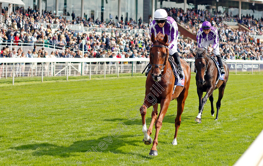 The-Mediterranean-0001 
 THE MEDITERRANEAN (Wayne Lordan)
York 18 Aug 2021 - Pic Steven Cargill / Racingfotos.com