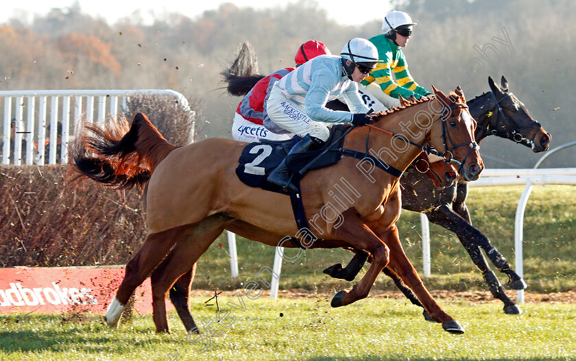 Champagne-City-0001 
 CHAMPAGNE CITY (Jonathan Burke)
Newbury 29 Nov 2019 - Pic Steven Cargill / Racingfotos.com