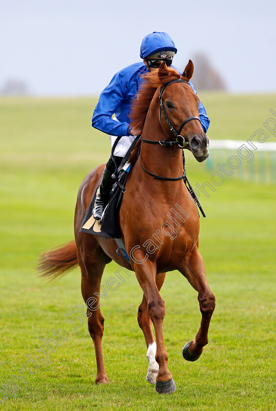 Silent-Speech-0001 
 SILENT SPEECH (James Doyle)
Newmarket 29 Oct 2021 - Pic Steven Cargill / Racingfotos.com