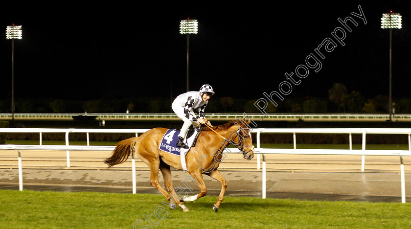 Felix-0001 
 FELIX (Adrie de Vries)
Meydan 27 Jan 2023 - Pic Steven Cargill / Racingfotos.com