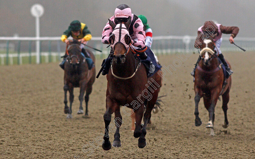 Hotalena-0004 
 HOTALENA (Mark Crehan) wins The Get Your Ladbrokes Daily Odds Boost Handicap
Lingfield 10 Mar 2021 - Pic Steven Cargill / Racingfotos.com