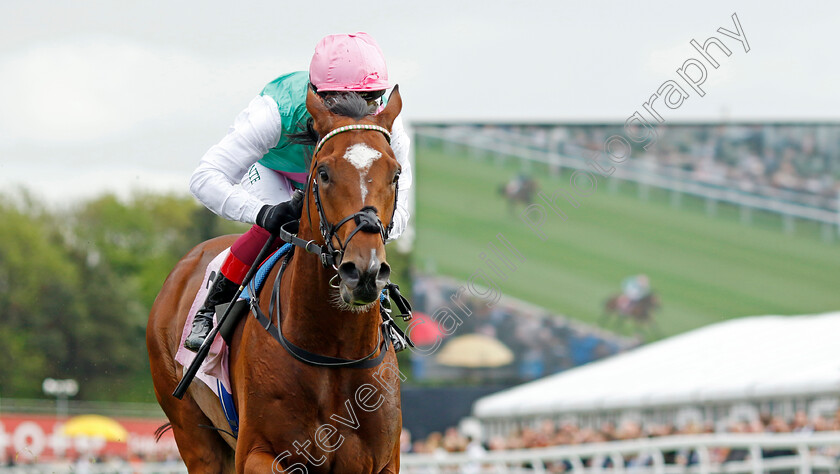 Arrest-0002 
 ARREST (Frankie Dettori) wins The Boodles Chester Vase
Chester 10 May 2023 - Pic Steven Cargill / Racingfotos.com