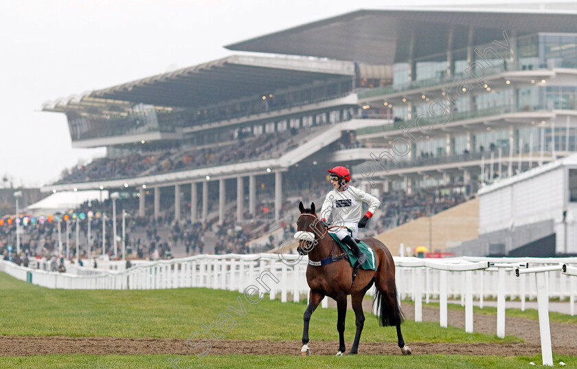 Chianti-Classico-0001 
 CHIANTI CLASSICO (Ciaran Gethings)
Cheltenham 13 Dec 2024 - Pic Steven Cargill / Racingfotos.com