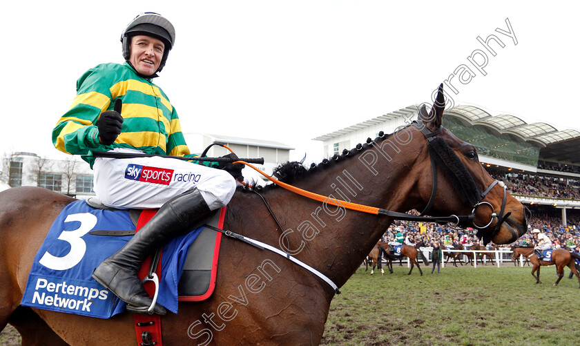 Sire-Du-Berlais-0006 
 SIRE DU BERLAIS (Barry Geraghty) after The Pertemps Network Final Handicap Hurdle
Cheltenham 14 Mar 2019 - Pic Steven Cargill / Racingfotos.com