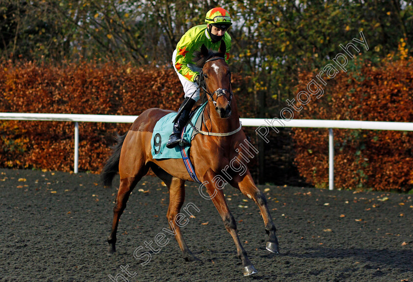 Goingtocalifornia-0001 
 GOINGTOCALIFORNIA (Charles Bishop)
Kempton 25 Nov 2020 - Pic Steven Cargill / Racingfotos.com