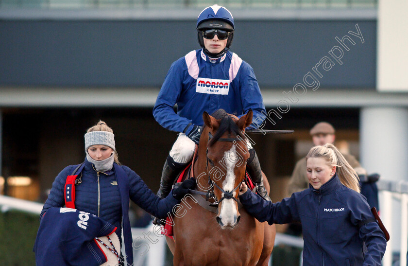 Capeland-0001 
 CAPELAND (Harry Cobden)
Ascot 18 Jan 2020 - Pic Steven Cargill / Racingfotos.com