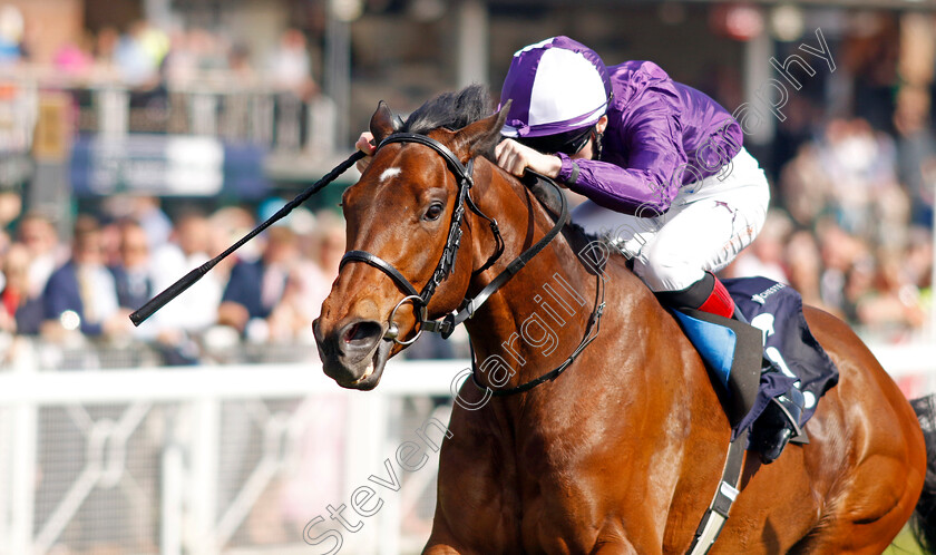 Tony-Montana-0001 
 TONY MONTANA (David Egan) wins The Precision Facades Handicap
Chester 9 May 2024 - Pic Steven Cargill / Racingfotos.com