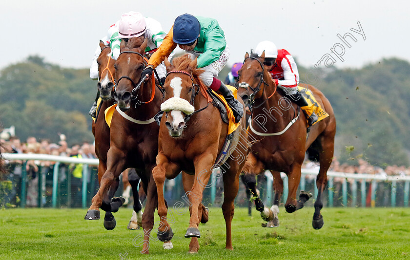 Shagraan-0004 
 SHAGRAAN (Oisin Murphy) wins The Betfair Be Friendly Handicap
Haydock 7 Sep 2024 - Pic Steven Cargill / Racingfotos.com