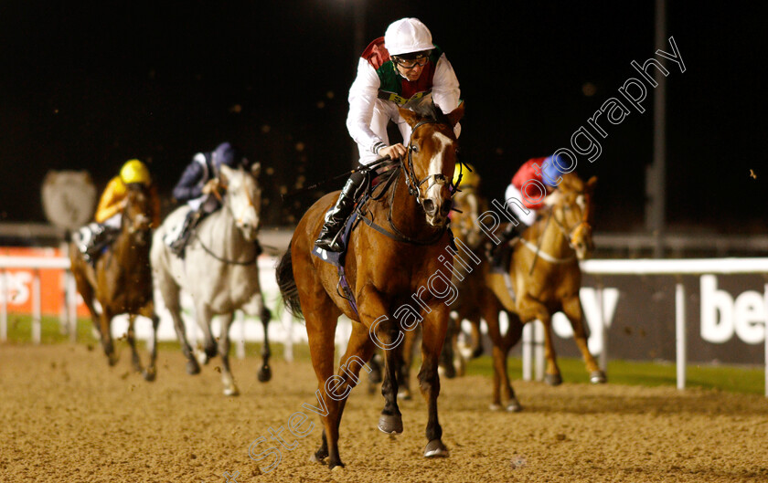 She s-Got-You-0007 
 SHE'S GOT YOU (Robert Havlin) wins The Ladbrokes Home Of The Odds Boost Fillies Novice Stakes Div1
Wolverhampton 10 Dec 2018 - Pic Steven Cargill / Racingfotos.com