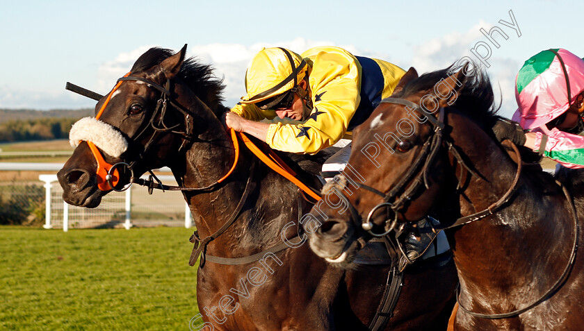 Latent-Heat-0003 
 LATENT HEAT (left, Tom Marquand) beats DOURADO (right) in The tote.co.uk Handicap
Goodwood 11 Oct 2020 - Pic Steven Cargill / Racingfotos.com