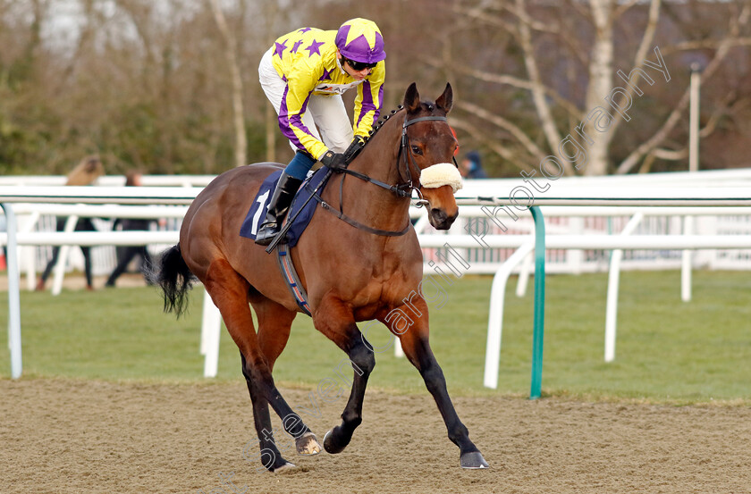 Starshiba-0001 
 STARSHIBA (Callum Shepherd)
Lingfield 20 Jan 2024 - Pic Steven Cargill / Racingfotos.com