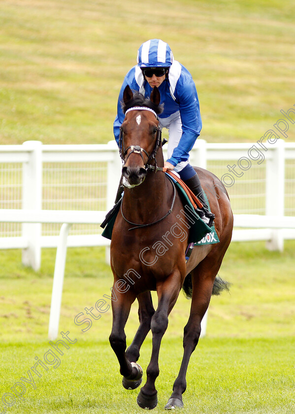 Mokaatil-0001 
 MOKAATIL (Jim Crowley)
Sandown 16 Jun 2018 - Pic Steven Cargill / Racingfotos.com