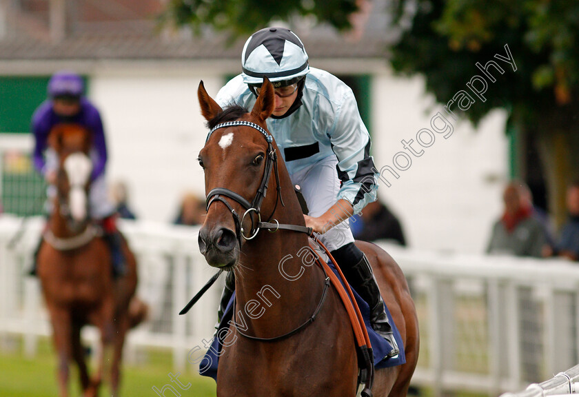 Maglev-0002 
 MAGLEV (Tom Marquand) winner of The British Stallion Studs EBF Novice Stakes
Yarmouth 1 Jul 2021 - Pic Steven Cargill / Racingfotos.com