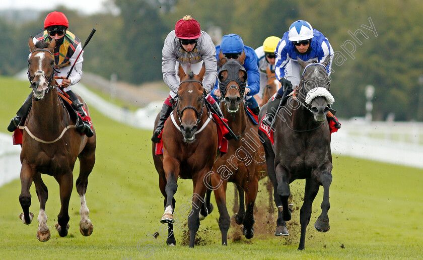 Happy-Power-0005 
 HAPPY POWER (right, Silvestre De Sousa) beats TORO STRIKE (centre) and ESCOBAR (left) in The Ladbrokes Supreme Stakes
Goodwood 30 Aug 2020 - Pic Steven Cargill / Racingfotos.com