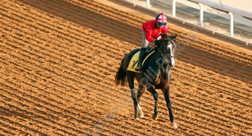 Pyledriver-0005 
 PYLEDRIVER training for The Neom Turf Cup
King Abdulaziz Racetrack, Riyadh, Saudi Arabia 23 Feb 2022 - Pic Steven Cargill / Racingfotos.com