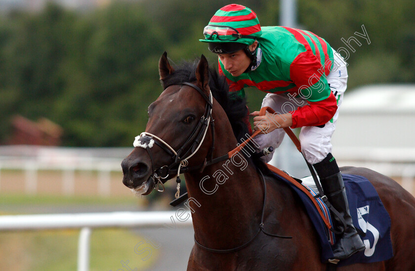 Aljari-0002 
 ALJARI (Luke Morris) winner of The Wolverhampton Holiday Inn Novice Stakes
Wolverhampton 17 Jul 2019 - Pic Steven Cargill / Racingfotos.com