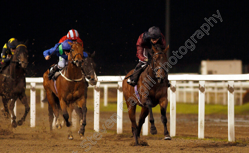 Johan-0001 
 JOHAN (Tom Marquand) wins The tote.co.uk Now Never Beaten By SP Handicap
Chelmsford 15 Oct 2020 - Pic Steven Cargill / Racingfotos.com