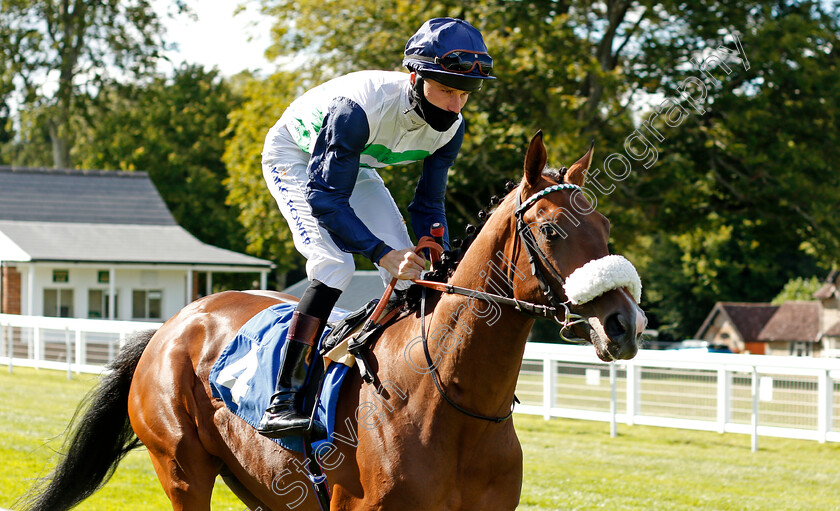 Auriferous-0001 
 AURIFEROUS (Joshua Bryan)
Salisbury 11 Jul 2020 - Pic Steven Cargill / Racingfotos.com