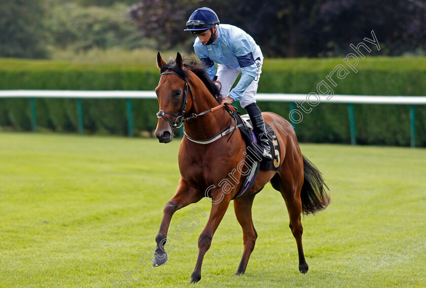 Stromboli-0006 
 STROMBOLI (Daniel Tudhope)
Nottingham 10 Aug 2021 - Pic Steven Cargill / Racingfotos.com