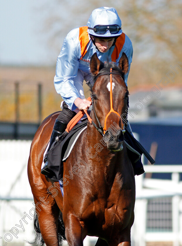 Tigre-Du-Terre-0001 
 TIGRE DU TERRE (Ryan Moore) Newbury 20 Apr 2018 - Pic Steven Cargill / Racingfotos.com