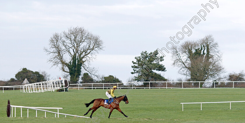 Salvator-Mundi-0012 
 SALVATOR MUNDI (Paul Townend) winner of the Sky Bet Moscow Flyer Novice Hurdle
Punchestown 12 Jan 2025 - Pic Steven Cargill / Racingfotos.com