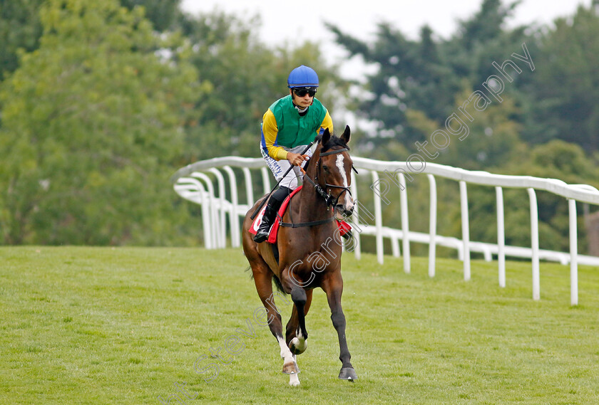 Ipanema-Princess-0001 
 IPANEMA PRINCESS (Stefano Cherchi)
Sandown 21 Jul 2022 - Pic Steven Cargill / Racingfotos.com