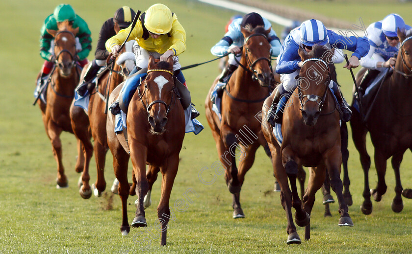 Nearooz-0005 
 NEAROOZ (left, David Egan) beats WATHEERAH (right) in The Godolphin Under Starters Orders Maiden Fillies Stakes Div1
Newmarket 12 Oct 2018 - Pic Steven Cargill / Racingfotos.com