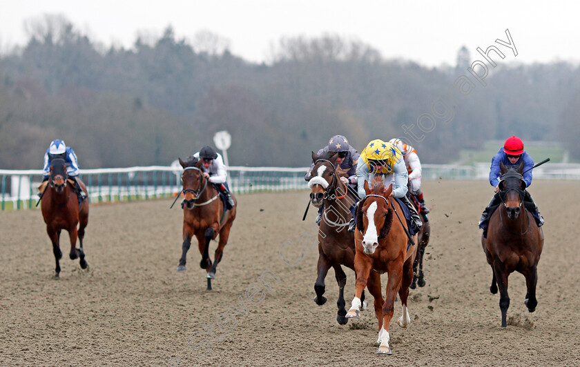 Arcanada-0003 
 ARCANADA (Martin Harley) wins The Play For Free At sunbets.co.uk/vegas Conditions Stakes Lingfield 6 Jan 2018 - Pic Steven Cargill / Racingfotos.com