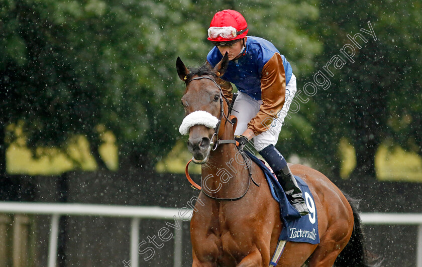 Remarquee-0003 
 REMARQUEE (Rob Hornby)
Newmarket 14 Jul 2023 - Pic Steven Cargill / Racingfotos.com