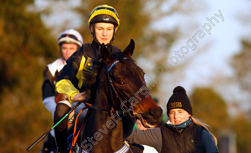 Alcazan-0001 
 ALCAZAN (Billy Loughnane)
Lingfield 21 Jan 2023 - Pic Steven Cargill / Racingfotos.com