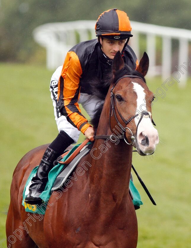 Mitchum-Swagger-0001 
 MITCHUM SWAGGER (Harry Bentley)
Sandown 26 Apr 2019 - Pic Steven Cargill / Racingfotos.com