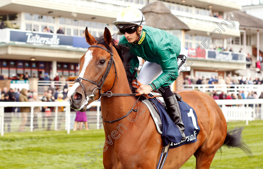 Ceilidhs-Dream-0002 
 CEILIDHS DREAM (Harry Bentley)
York 16 May 2018 - Pic Steven Cargill / Racingfotos.com