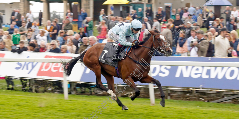 Scenic-0003 
 SCENIC (Oisin Murphy) wins The British EBF & Sir Henry Cecil Galtres Stakes
York 22 Aug 2024 - Pic Steven Cargill / Racingfotos.com