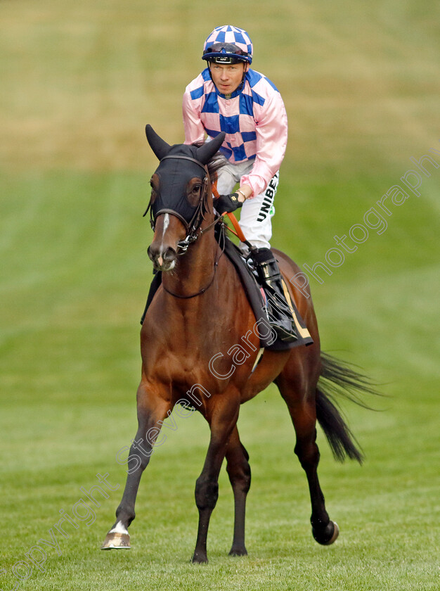 Mountain-Road 
 MOUNTAIN ROAD (Jamie Spencer)
Newmarket 22 Jul 2022 - Pic Steven Cargill / Racingfotos.com