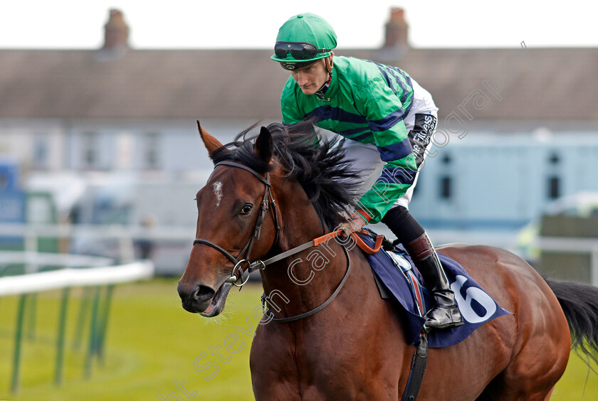 Volevo-Lui-0002 
 VOLEVO LUI (Daniel Muscutt) Yarmouth 21 Sep 2017 - Pic Steven Cargill / Racingfotos.com