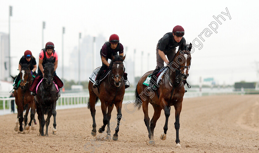 Hunting-Horn-0004 
 HUNTING HORN leading the Aidan O'Brien string
Meydan 28 Mar 2019 - Pic Steven Cargill / Racingfotos.com