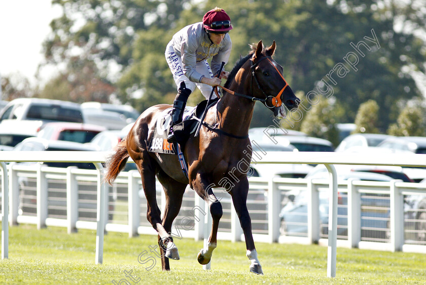 Watan-0001 
 WATAN (Ryan Moore)
Sandown 1 Sep 2018 - PIc Steven Cargill / Racingfotos.com