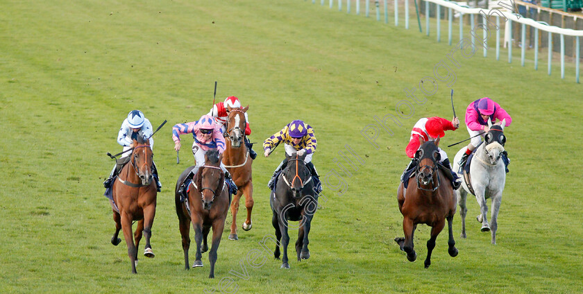 Han-Solo-Berger-0001 
 HAN SOLO BERGER (2nd left, Tom Queally) beats EXCELLENT GEORGE (left) and FOXY FOREVER (2nd right) in The Injured Jockeys Fund Handicap
Yarmouth 17 Sep 2019 - Pic Steven Cargill / Racingfotos.com