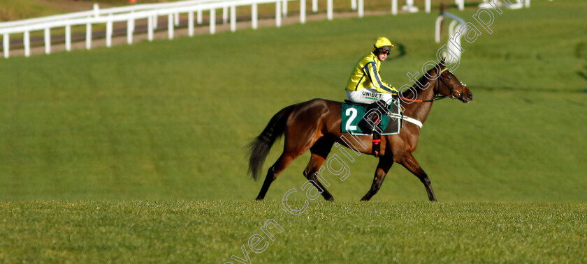 Peaky-Boy-0001 
 PEAKY BOY (Nico de Boinville)
Cheltenham 14 Dec 2024 - Pic Steven Cargill / Racingfotos.com