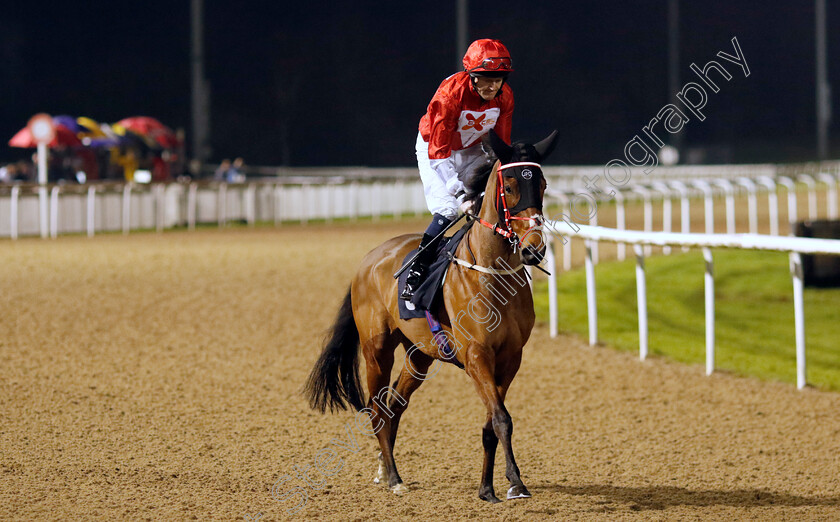 Rogue-Destiny-0002 
 ROGUE DESTINY (Liam Keniry)
Wolverhampton 20 Dec 2024 - Pic Steven Cargill / Racingfotos.com